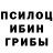 Псилоцибиновые грибы Psilocybe leker show