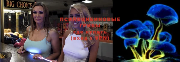 ешки Бородино