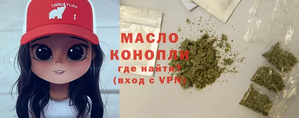 ешки Бородино