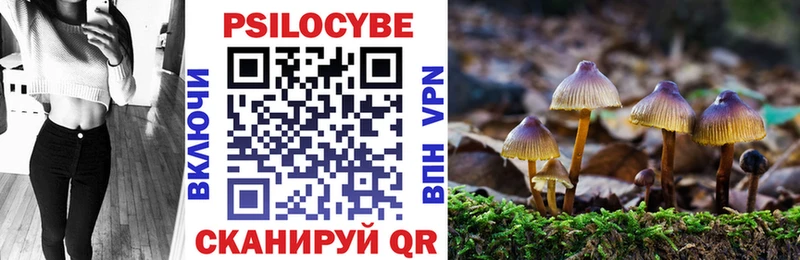 Галлюциногенные грибы мицелий Княгинино